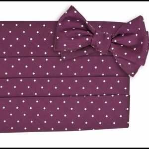 High Cotton Eggplant Cummerbund